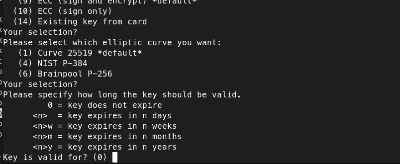 borg-client-3.png