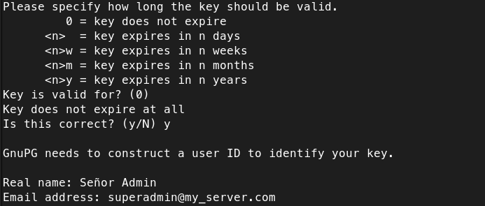 borg-client-4.png