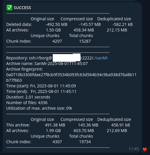 borg-client-9.png
